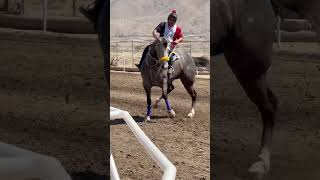 El torino grupo laberinto #corridos #caballos #automobile #charreriaorgullodemexico #horse