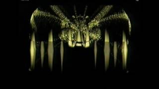 Majesty - Fields Of War [320kbps]