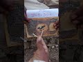 the east india company old 100 rupees note #Original #Available Test Call me 9325238301