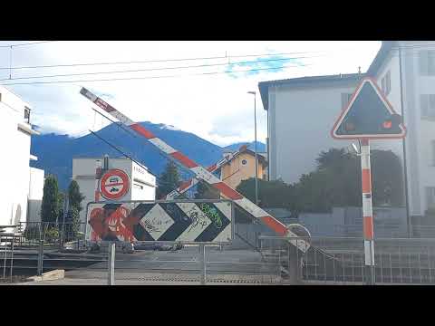Bahnübergang Muralto (CH) // Swiss Railroad Crossing // Passaggio a livello
