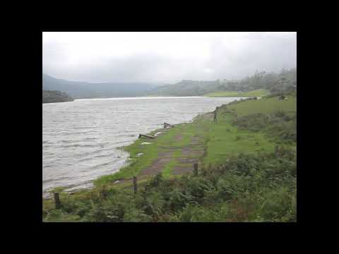 Pining for the Fjords