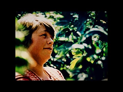 Damals in der DDR 1980 Neubrandenburg