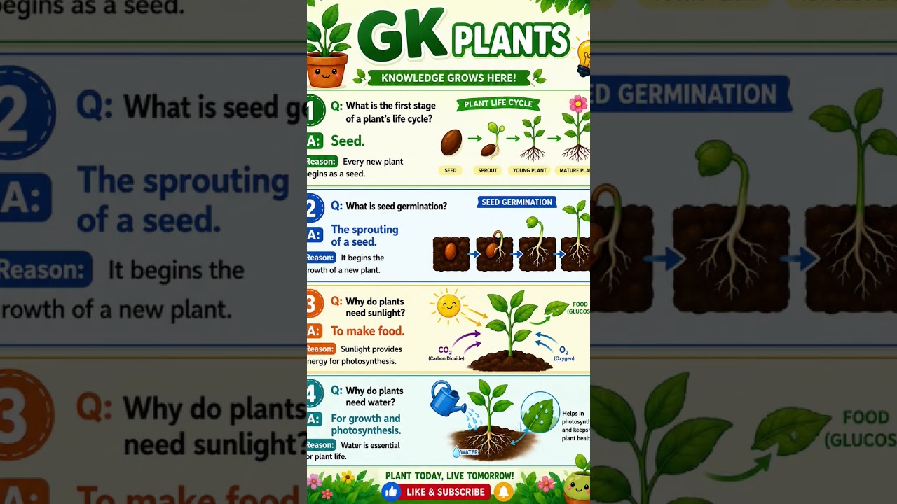 🌿🌱 Plants are the green lifeline of our planet! 🌍 Discover amazing plant facts in just a few second