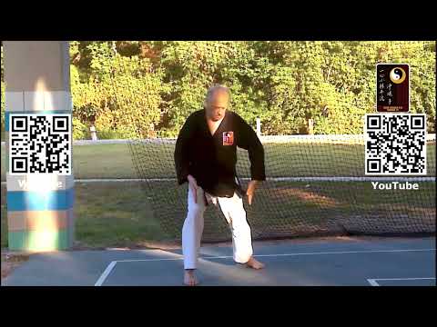 Basics: Lunge Punch – Sensei Rod Lindgren