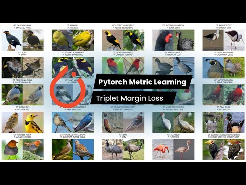 Pt. 1 | Pytorch Metric Learning | BIRDS 400-SPECIES IMAGE CLASSIFICATION