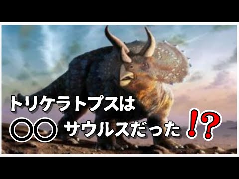 人間との大きさ比較