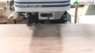 MÁY ĐỤC Ổ KHOÁ - PHAI RÃNH BẢN LỀ CƯA ĐI HOLZTEK