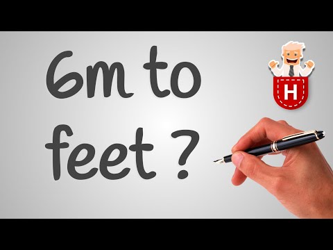 6m To Feet
