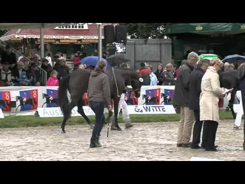 Fasine Vollschwester zu For Romance