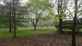 LIL FLIP FT. BIZZY BONE-R.I.P. SCREW