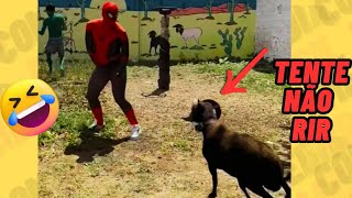 TENTE NÃO RIR IMPOSSÍVEL 🤣 - OS MELHORES memes e VÍDEOS ENGRAÇADOS 2025 #memes #comedia #401