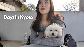 【京都】とある１月の週末🐶☕️❄️ カフェホッピング, 京都グルメ, メイク紹介