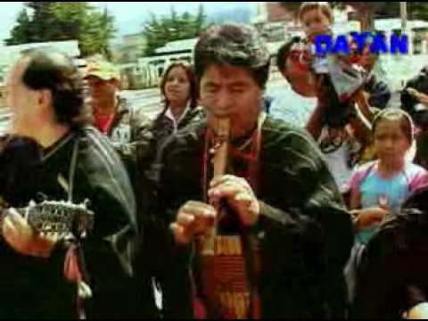 Proyeccion - Seleccion de Sanjuanitos