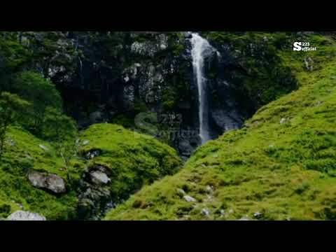 Adzan merdu Jiharkah Syeikh Wadi Hamadi