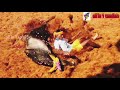 Takkaru Takkaru Song In Tamil Jallikattu Song In Tamil
