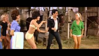 Music video thumbnail preview for Elvis Presley -  Dirty Dirty Feeling by Elvis Presley