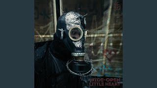 Wide-open Little Heart Music Video