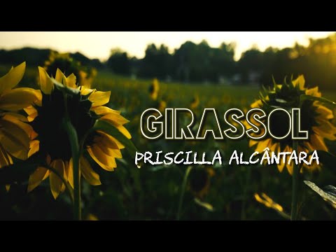 (LETRA) GIRASSOL - Priscilla Alcântara