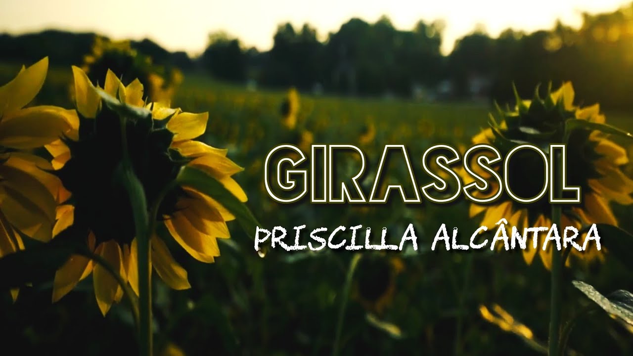 (LETRA) GIRASSOL - Priscilla Alcântara