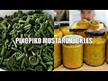 Gather PIKOPIKO To Make Mustard Pickles Tasty Recipe Includes Taste Test