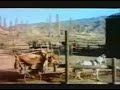 PENTRU UN PUMN DE CEAPĂ Film American Comedie Western 1976
