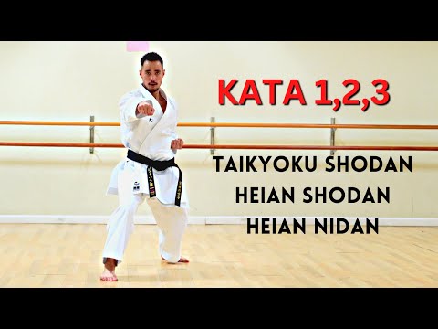 FIRST 3 SHOTOKAN KARATE KATA (REAR VIEW)