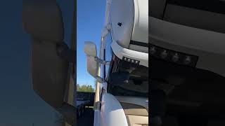 Scania R 490 refrigerated truck | Image 5 - Autoline