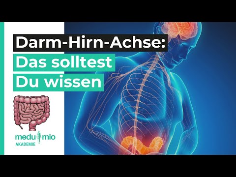 Gesunde Psyche: Das solltest Du über die Darm-Hirn-Achse wissen 🧠 Andreas Schlecht