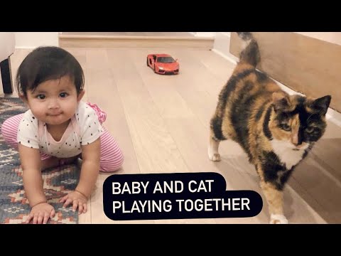 Baby and cat playing together/funny baby and pet moments|| Tanzila’s little world