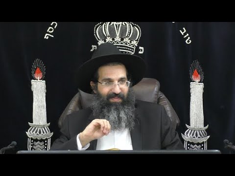 הלכות שבת - קסא' - סחיטה 🍊 משנה ברורה סימן שכ | חלק 575 | הרב שי עובד