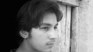 Peace on Earth -- Cock Robin