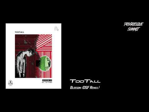 PREMIERE: TooTall - Blossom (DSF Remix) [Kitchen Recordings]