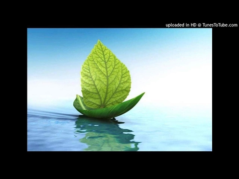 Haridžije - njihove najvažnije osobine