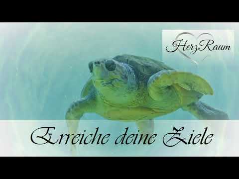 Warum habe ich meine Ziele erreicht und lebe erfolgreich? - Meditation  - [HerzRaum] - Afformationen