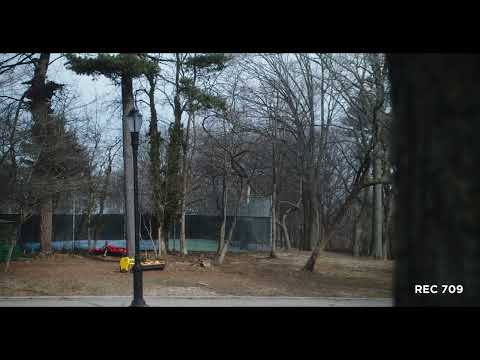 Blackmagic Pocket 4k  graded with Dehancer pro 5.0 {A day in the park}