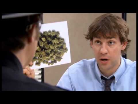 Drug Test: Jim Interviews Dwight