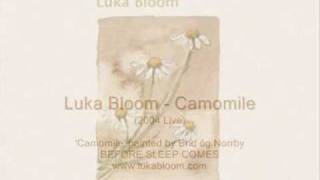 Luka Bloom - Camomile