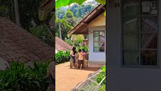 Download lagu suasana pedesaan di pagi hari yang alami di kampung pelosok bandung selatan (Jawa Barat)#shorts mp3 Download lagu suasana pedesaan di pagi hari yang alami di kampung pelosok bandung selatan (Jawa Barat)#shorts mp3