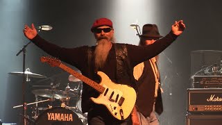 Point Blank™ "Bad Bees" 2010