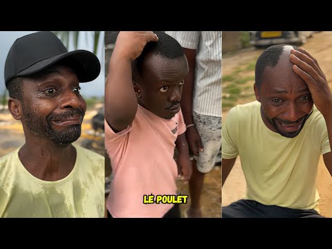 Le poulet ! Sean Bridon