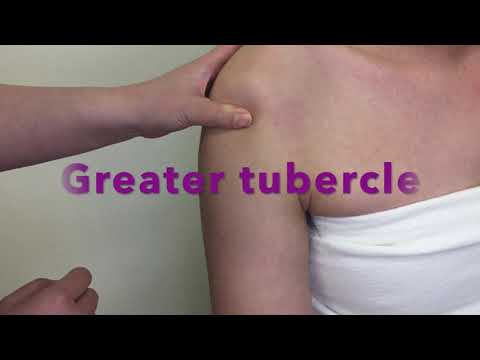Palpation of Bony Landmarks on Proximal Humerus