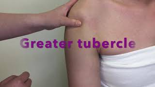 Palpation of Bony Landmarks on Proximal Humerus