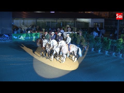 Fatacil 2019 - Programa Equestre