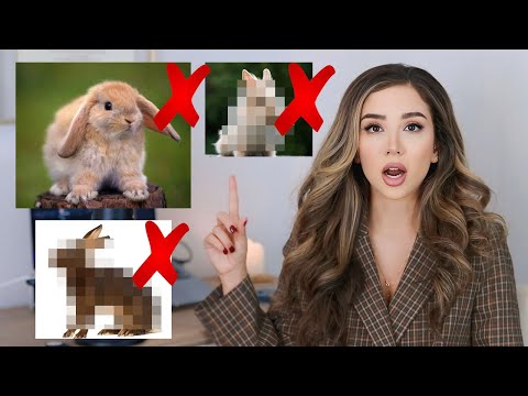 I would never own these rabbit breeds!