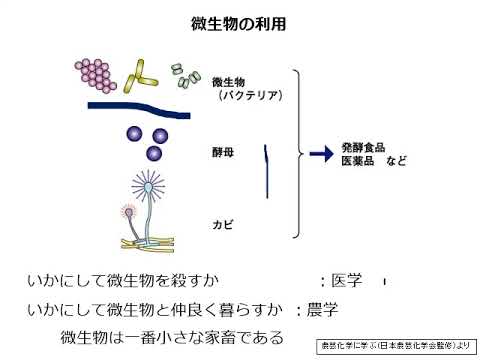 微生物の生活環と有用微生物【農芸化学コース】農林海洋科学部
