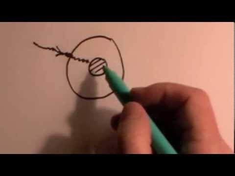 Humans and the environment: GCSE revision