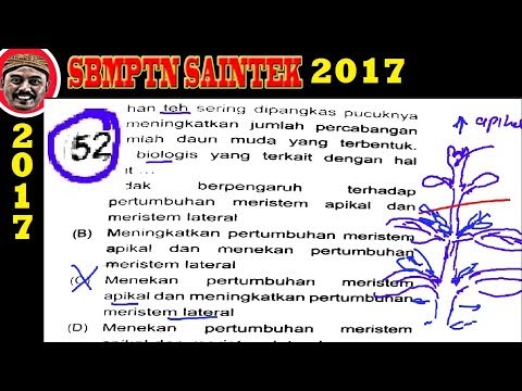 Patogen perempuan di apotek Chelyabinsk Potensi pada pria 46