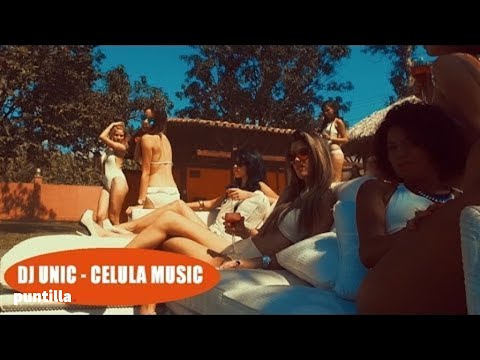 El Tiger y Alefresh — Goza El Dembow