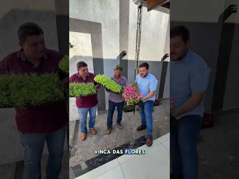 Visita a cidade de buriti alegre - GO #paisagismo