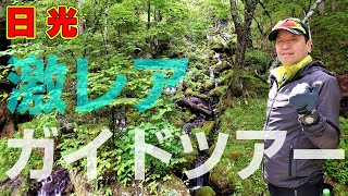 株式会社日光自然博物館